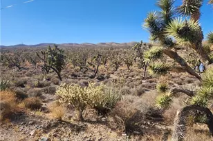 0000 N Tamarisk & Rainbow, Meadview, AZ 86444 - Photo 1