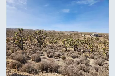 0000 N Tamarisk & Rainbow, Meadview, AZ 86444 - Photo 4