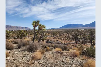 336-09-421A N Tamarisk & Rainbow, Meadview, AZ 86444 - Photo 8