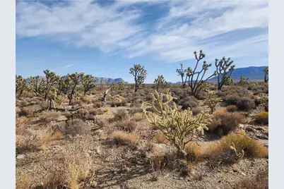 336-09-421A N Tamarisk & Rainbow, Meadview, AZ 86444 - Photo 12