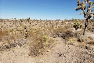 21103 N Madera Dr, White Hills, AZ 86445 - Photo 1