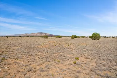 53177 N Arroyo Drive, Seligman, AZ 86337 - Photo 4