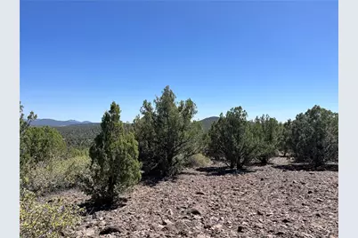243 N Kit Fox Trail, Kingman, AZ 86401 - Photo 4