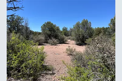 243 N Kit Fox Trail, Kingman, AZ 86401 - Photo 10