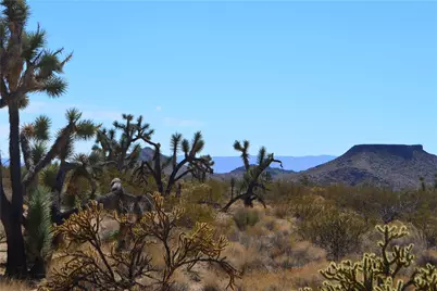 Lot 3 Bush Road, Yucca, AZ 86438 - Photo 1