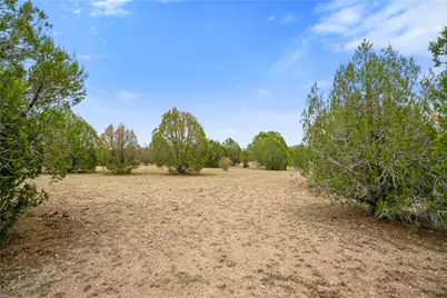160 Acres Harris Valley Ranch Road, Seligman, AZ 86337 - Photo 12