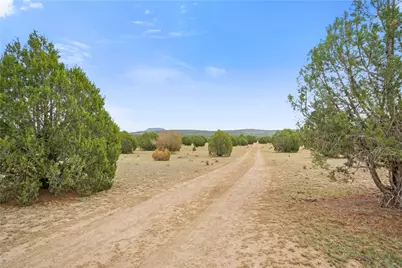 160 Acres Harris Valley Ranch Road, Seligman, AZ 86337 - Photo 40
