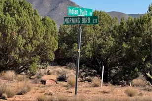 00 E Morning Bird Circle, Hackberry, AZ 86411 - Photo 1