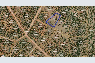 33226 W Potrero Lane, Seligman, AZ 86337 - Photo 2