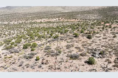 0 East Dicks Camp Road, Hackberry, AZ 86411 - Photo 10