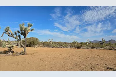 166 S Cattle Crossing Road, Yucca, AZ 86438 - Photo 42