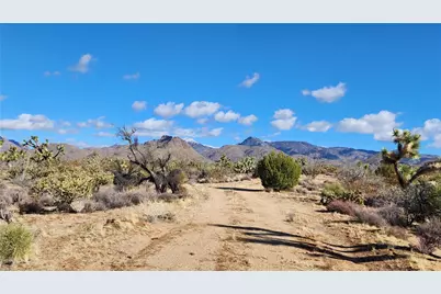 166 S Cattle Crossing Road, Yucca, AZ 86438 - Photo 22