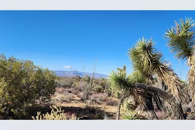 166 S Cattle Crossing Road, Yucca, AZ 86438 - Photo 12
