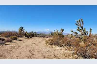 166 S Cattle Crossing Road, Yucca, AZ 86438 - Photo 22