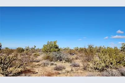 166 S Cattle Crossing Road, Yucca, AZ 86438 - Photo 20