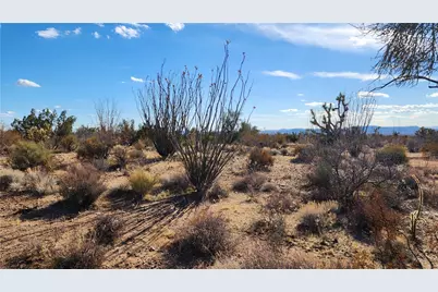 166 S Cattle Crossing Road, Yucca, AZ 86438 - Photo 30