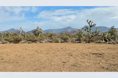 166 S Cattle Crossing Road, Yucca, AZ 86438 - Photo 4