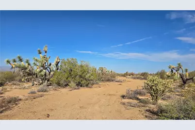 166 S Cattle Crossing Road, Yucca, AZ 86438 - Photo 14