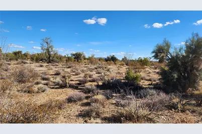 166 S Cattle Crossing Road, Yucca, AZ 86438 - Photo 26