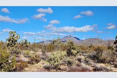 166 S Cattle Crossing Road, Yucca, AZ 86438 - Photo 2