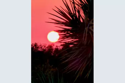 166 S Cattle Crossing Road, Yucca, AZ 86438 - Photo 8