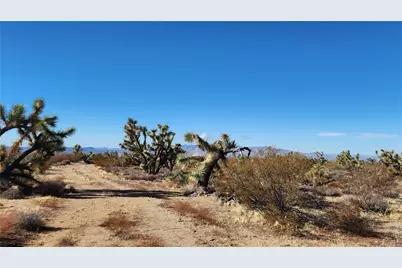 166 S Cattle Crossing Road, Yucca, AZ 86438 - Photo 26