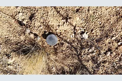 166 S Cattle Crossing Road, Yucca, AZ 86438 - Photo 38