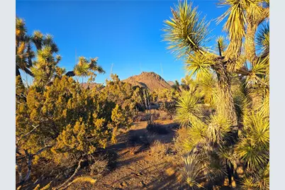 2886 S Cattle Crossing Road, Yucca, AZ 86438 - Photo 2