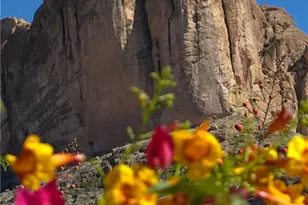 1886 S Ganado Rd, Golden Valley, AZ 86413 - Photo 10