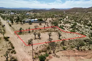 319-13-040 N Knoll Dr, Dolan Springs, AZ 86441 - Photo 1