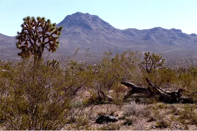 Lot 2 N Mt Tipton Drive, Dolan Springs, AZ 86441 - Photo 20