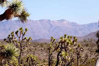 Lot 2 N Mt Tipton Drive, Dolan Springs, AZ 86441 - Photo 24