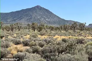 0 Bonview Dr, Meadview, AZ 86444 - Photo 1