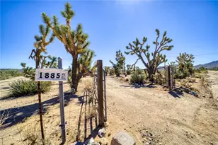 18852 N Spur Dr, Dolan Springs, AZ 86441 - Photo 6