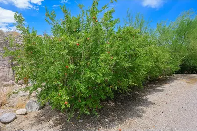 1 Silver Creek Road, Oatman, AZ 86433 - Photo 84