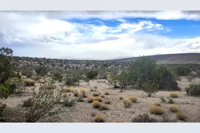 351-14-028 N Quintana Road, Dolan Springs, AZ 86441 - Photo 10