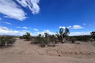 21188 S Cheyenne Rd, Yucca, AZ 86438 - Photo 2