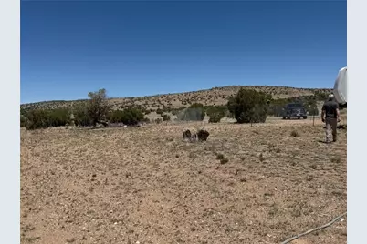 014-015 Unknown, Peach Springs, AZ 86434 - Photo 2