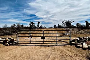 21038 S Cheyenne Rd, Yucca, AZ 86438 - Photo 96