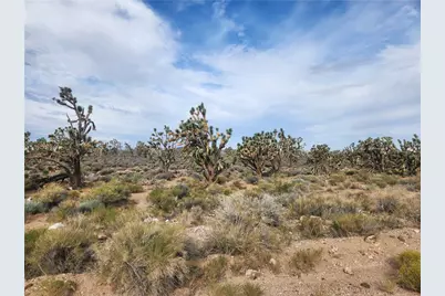 26601 N Bullhead Road, Meadview, AZ 86444 - Photo 4