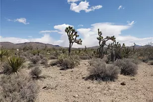 3 Acres La Crescenta, White Hills, AZ 86445 - Photo 1