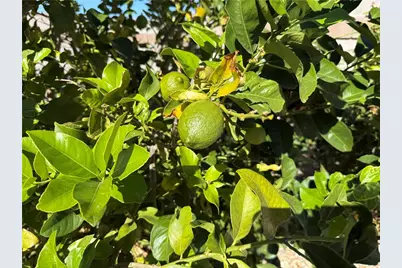 3375 Amanda Avenue, Kingman, AZ 86401 - Photo 44