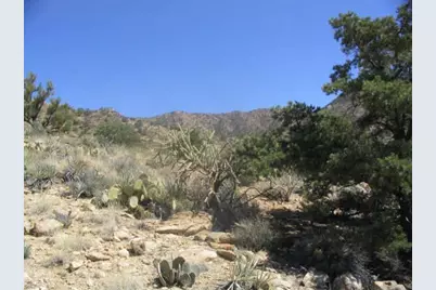 0 Peacock, Kingman, AZ 86401 - Photo 16