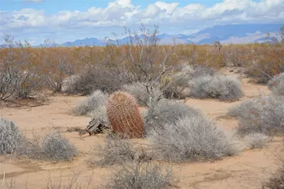 3271 S Arlington Road #3271, Yucca, AZ 86438 - Photo 44