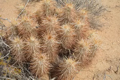 3271 S Arlington Road #3271, Yucca, AZ 86438 - Photo 42