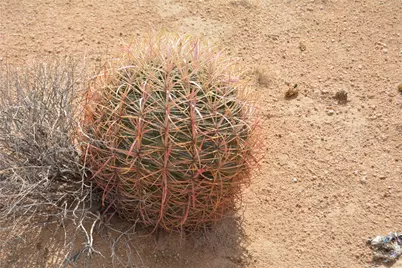 3271 S Arlington Road #3271, Yucca, AZ 86438 - Photo 38