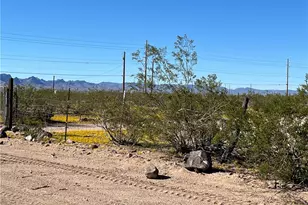 4233 W Mayan Dr, Golden Valley, AZ 86413 - Photo 78