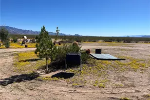 4233 W Mayan Dr, Golden Valley, AZ 86413 - Photo 72