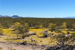 4233 W Mayan Dr, Golden Valley, AZ 86413 - Photo 74