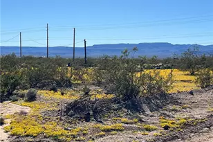 4233 W Mayan Dr, Golden Valley, AZ 86413 - Photo 82